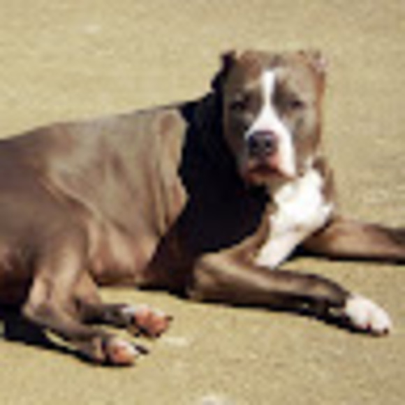 cooperl33